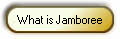 What is Jamboree